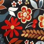 rita knoll - @knoll250 - Instagram
