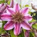 Rita Knott - Facebook