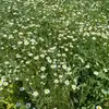 user1864447356193 - @ritakorn_ - TikTok