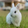 user7333556210684 - @ritakrolik - TikTok