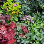 Rita Kurth - @kurth7978 - Instagram