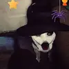 ritakaylackey - @ritalackeey55 - TikTok