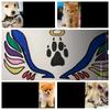 Rita Lahey - @doglifegabby - TikTok