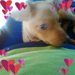 Rita Lake - @rita.lake.144 - Instagram