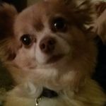 Rita Lake - @lake7196 - Instagram