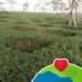 Laithe Raada - Facebook