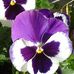 Rita Lamothe - Facebook