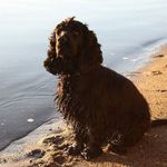 Rita Larsen - @rita.larsen.58 - Instagram