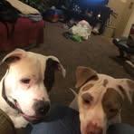 Rita Larson - Facebook