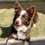 Rita Leena - @ritaleena.border - Instagram