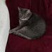 Rita Lanou-Leger - Facebook