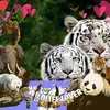Rita Lister523 - @ritalister523 - TikTok