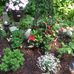 Rita Lofgren - Facebook