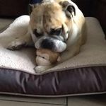 Rita Löfgren - @ritalofgren - Instagram