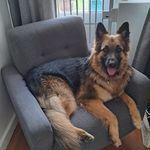 Marianne Rita Lorenz Laubscher - @marianneritalorenz - Instagram