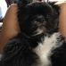 Rita Lowman - Facebook