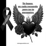 Rita Loya - Facebook