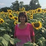 Rita Lyons - @ritalyons8035 - Instagram