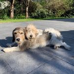 Rita & Maggie - @missing.ritamaggie - Instagram