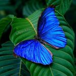rita_sydorchenko - @rita___maggi - Instagram