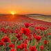Rita Mancini - Facebook