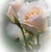 Rita Mancini - Facebook