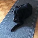 Rita Mancuso - @rita.mancuso.71 - Instagram