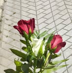 Rita Manna - Facebook