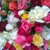 Rita Mansour - Facebook