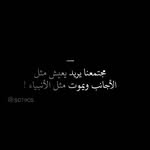 Rita Mansour - @ritamansour46 - Instagram