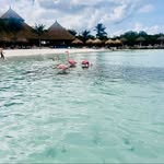 Rita Mansour - @rita.mansour007 - Instagram