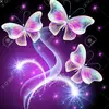 user3417665014692 - @ritamarcel - TikTok