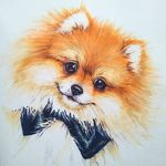 🦁Художник-анималист - @rita.marker - Instagram