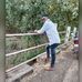 Radhe Marko - Facebook