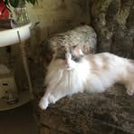 Rita Markowitz Bertrand - Facebook
