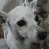 RITA MARTONE - @rita.martone6 - TikTok