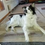 Rita Marty - Facebook