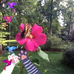 Rita Mason - @rita_mason - Instagram