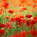 Rita Masson - Facebook