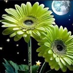 RitaMassoni - @ritamassoni47 - Instagram