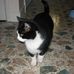 Rita McGrath - Facebook