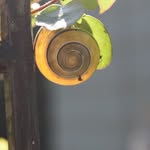 Rita Mckee - @rita.mckee.50767 - Instagram