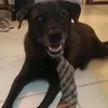 ritameadows1 - @ritameadows1 - TikTok