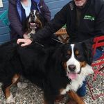 Rita Meehan - @rita.meehan.7 - Instagram