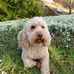 Rita Mills - Facebook