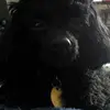 Rita Mills - @rita.mills0 - TikTok