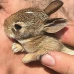 рита мизенина - @mizeninarita - Instagram