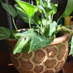 Rita Mizell - @rita.mizell.33 - Instagram