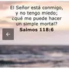Rita Molina - @rita.molina83 - TikTok