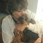 rsmorehead - @moreheadrita - Instagram